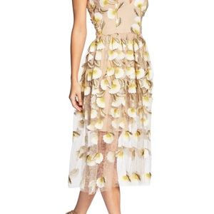 Dress The Population Dress